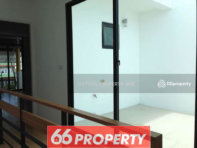 Flora Marigold, Bangkok, Thailand Flora Marigold, Bangkok, Thailand