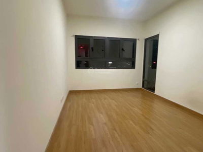 Topaz Twins, Vietnam Topaz Twins, Vietnam