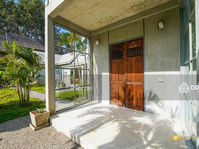 AMR0386, Chiang Mai, Thailand AMR0386, Chiang Mai, Thailand