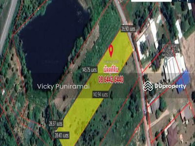 13555 Land for rent, 2 rai, Nong Khang Khok, Chon Buri, 5 km from the motorway, suitable for a warehouse, Chon Buri., Thailand 13555 Land for rent, 2 rai, Nong Khang Khok, Chon Buri, 5 km from the motorway, suitable for a warehouse, Chon Buri., Thailand