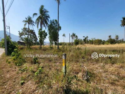 13555 Land for rent, 2 rai, Nong Khang Khok, Chon Buri, 5 km from the motorway, suitable for a warehouse, Chon Buri., Thailand 13555 Land for rent, 2 rai, Nong Khang Khok, Chon Buri, 5 km from the motorway, suitable for a warehouse, Chon Buri., Thailand