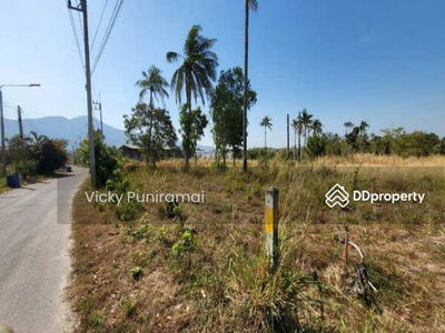 13555 Land for rent, 2 rai, Nong Khang Khok, Chon Buri, 5 km from the motorway, suitable for a warehouse, Chon Buri., Thailand 13555 Land for rent, 2 rai, Nong Khang Khok, Chon Buri, 5 km from the motorway, suitable for a warehouse, Chon Buri., Thailand