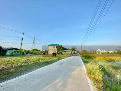Vacant land, Bang Bua Thong, Nonthaburi, Thailand Vacant land, Bang Bua Thong, Nonthaburi, Thailand