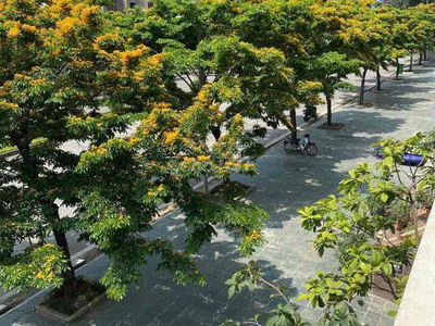 Gehäuse In Hanoi, Vietnam  Gehäuse In Hanoi, Vietnam