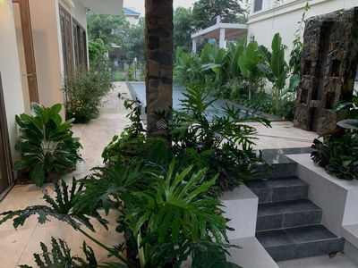 Senturia Vườn Lài, Vietnam Senturia Vườn Lài, Vietnam