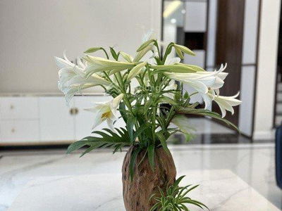 Thành phố Giao Lưu, Vietnam Thành phố Giao Lưu, Vietnam