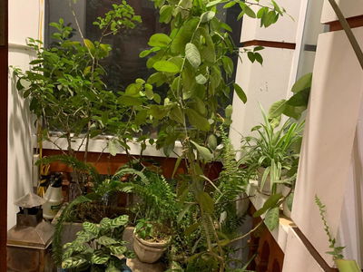 Logement dans Hanoi, Vietnam Logement dans Hanoi, Vietnam