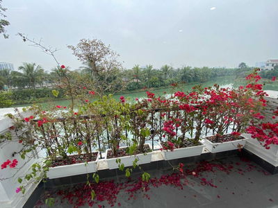 Vinhomes Riverside, Vietnam  Vinhomes Riverside, Vietnam
