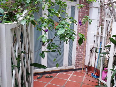 Alojamiento en Nha Be, Vietnam Alojamiento en Nha Be, Vietnam