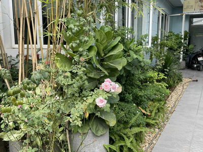 Housing in Di An, Vietnam Housing in Di An, Vietnam