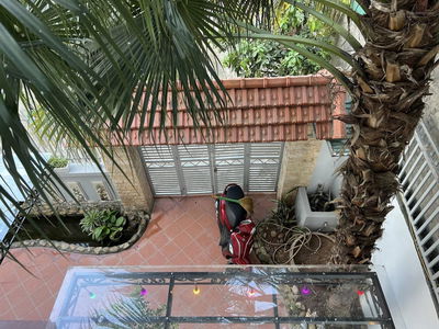 Housing in Co Loa, Vietnam Housing in Co Loa, Vietnam