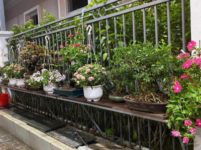 Phú Mỹ Hưng, Vietnam Phú Mỹ Hưng, Vietnam