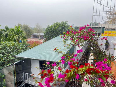 Housing in Co Loa, Vietnam Housing in Co Loa, Vietnam