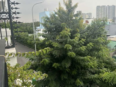 The Peak Garden, Vietnam The Peak Garden, Vietnam