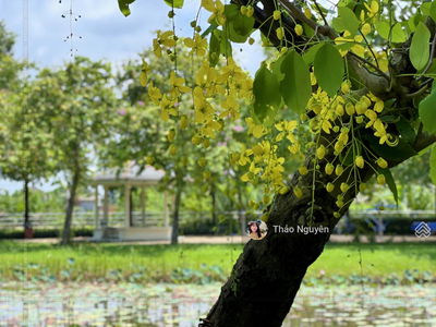 Park Riverside Tân Cảng, Vietnam Park Riverside Tân Cảng, Vietnam