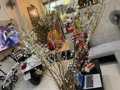 Жилье в Ho Chi Minh City, Vietnam Жилье в Ho Chi Minh City, Vietnam