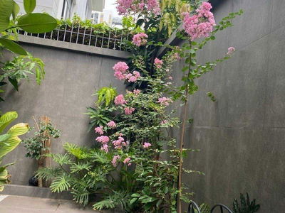 Alojamiento en Di An, Vietnam Alojamiento en Di An, Vietnam