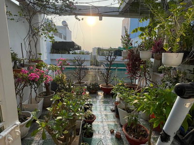 Logement dans Nha Be, Vietnam  Logement dans Nha Be, Vietnam