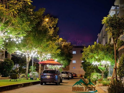 Jamona Golden Silk, Vietnam Jamona Golden Silk, Vietnam