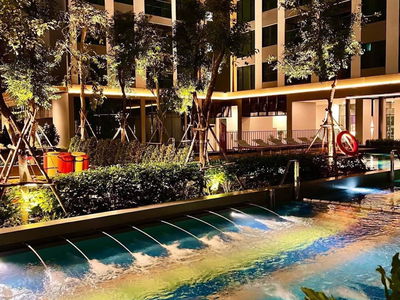 Zenity, Vietnam  Zenity, Vietnam