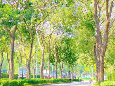 Celadon City, Vietnam Celadon City, Vietnam