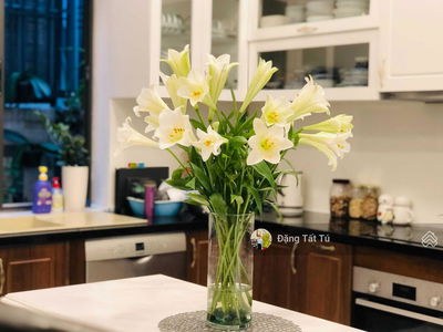 Khu đô thị Lakeview City, Vietnam  Khu đô thị Lakeview City, Vietnam