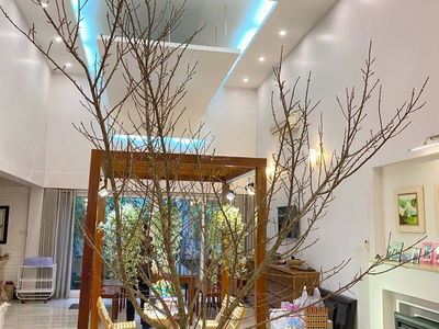 Жилье в Hanoi, Vietnam Жилье в Hanoi, Vietnam