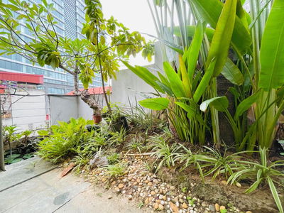 Alojamiento en Hanoi, Vietnam Alojamiento en Hanoi, Vietnam