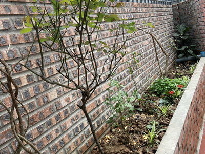 Alojamiento en Ha GJong, Vietnam Alojamiento en Ha GJong, Vietnam