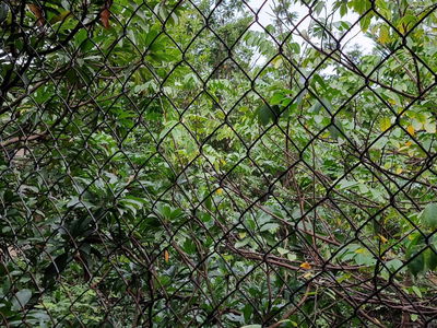 Жилье в Hanoi, Vietnam Жилье в Hanoi, Vietnam