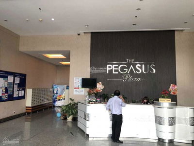 The Pegasus Plaza, Vietnam The Pegasus Plaza, Vietnam