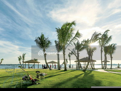 Bay Laurel @ Country Garden Danga Bay, Malaysia Bay Laurel @ Country Garden Danga Bay, Malaysia