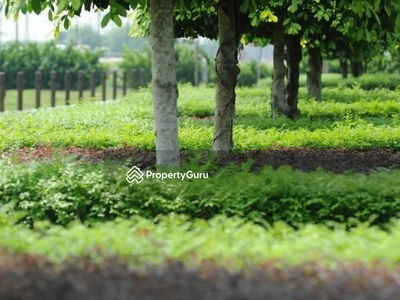 Maple Residences @ Bandar Bestari Klang, Malaysia Maple Residences @ Bandar Bestari Klang, Malaysia