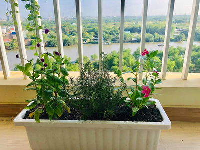 The Era Town, Vietnam The Era Town, Vietnam