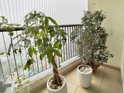 FLC Star Tower, Vietnam FLC Star Tower, Vietnam