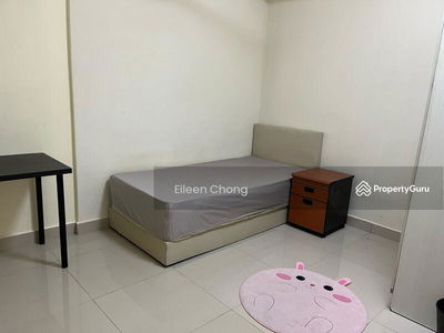 Suria Jelutong, Malaysia Suria Jelutong, Malaysia