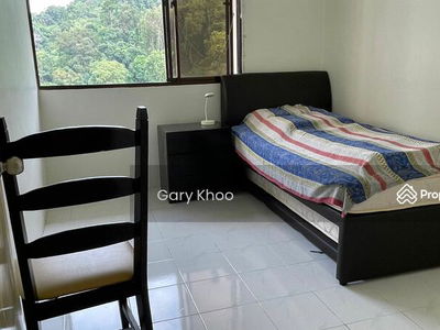 Miami Green, Malaysia Miami Green, Malaysia