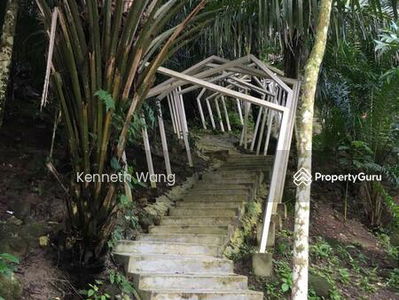 Damansara Foresta, Malaysia Damansara Foresta, Malaysia