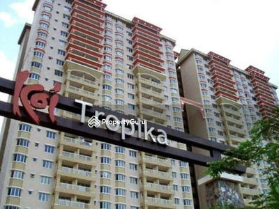 Koi Tropika, Malaysia Koi Tropika, Malaysia