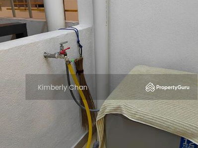 Shamelin Star, Malaysia Shamelin Star, Malaysia