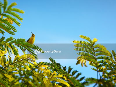 Alila2, Malaysia Alila2, Malaysia