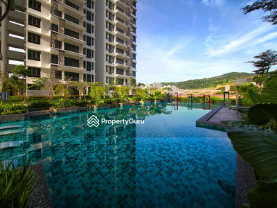 Tree Sparina @ Ideal Vision Park, Malaysia Tree Sparina @ Ideal Vision Park, Malaysia