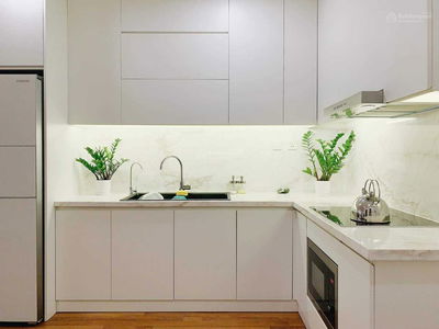 Iris Garden, Vietnam Iris Garden, Vietnam