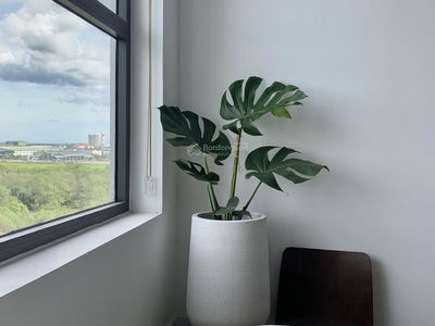 Thủ Thiêm Dragon, Vietnam Thủ Thiêm Dragon, Vietnam