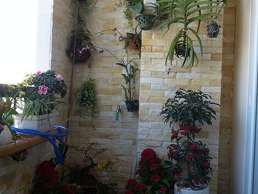 Chung cư Mỹ Đức, Vietnam Chung cư Mỹ Đức, Vietnam