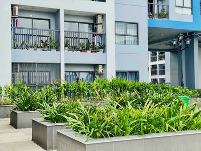 Sài Gòn Avenue, Vietnam Sài Gòn Avenue, Vietnam