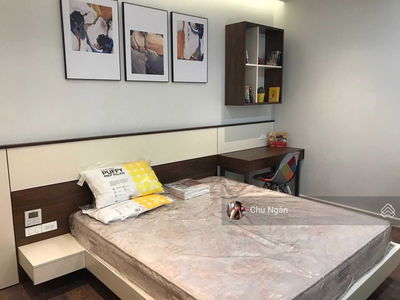 The Golden Armor, Vietnam The Golden Armor, Vietnam