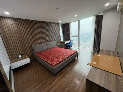 The Golden Armor, Vietnam The Golden Armor, Vietnam