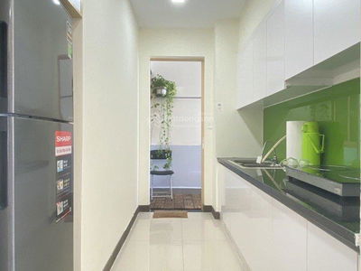 Green Field, Vietnam Green Field, Vietnam