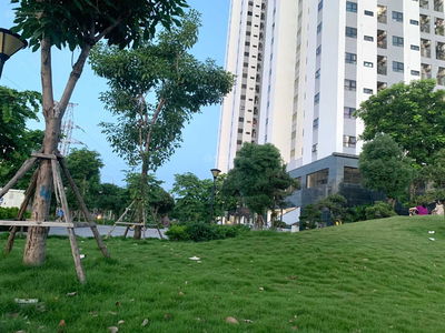 Golden Land 5, Vietnam Golden Land 5, Vietnam